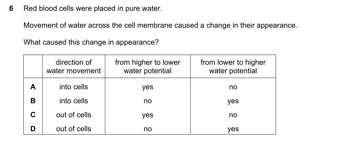 Question 6, November 2019, 0610 Paper 22