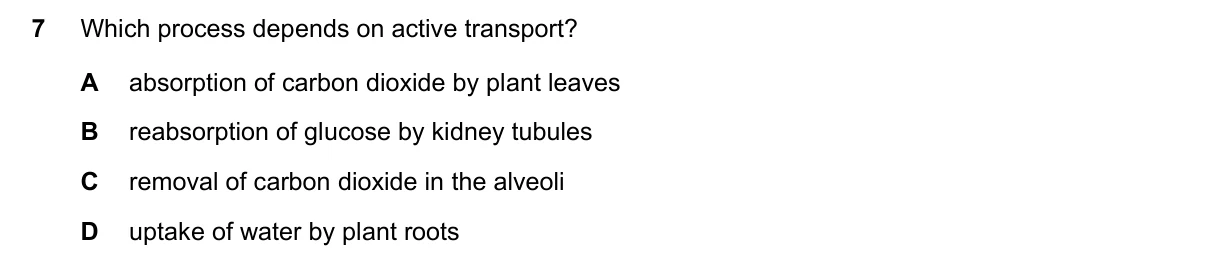 Question 7, November 2019, 0610 Paper 22