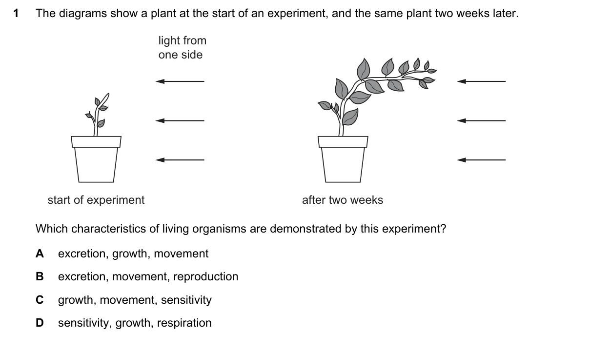 Question 1, November 2019, 0610 Paper 13