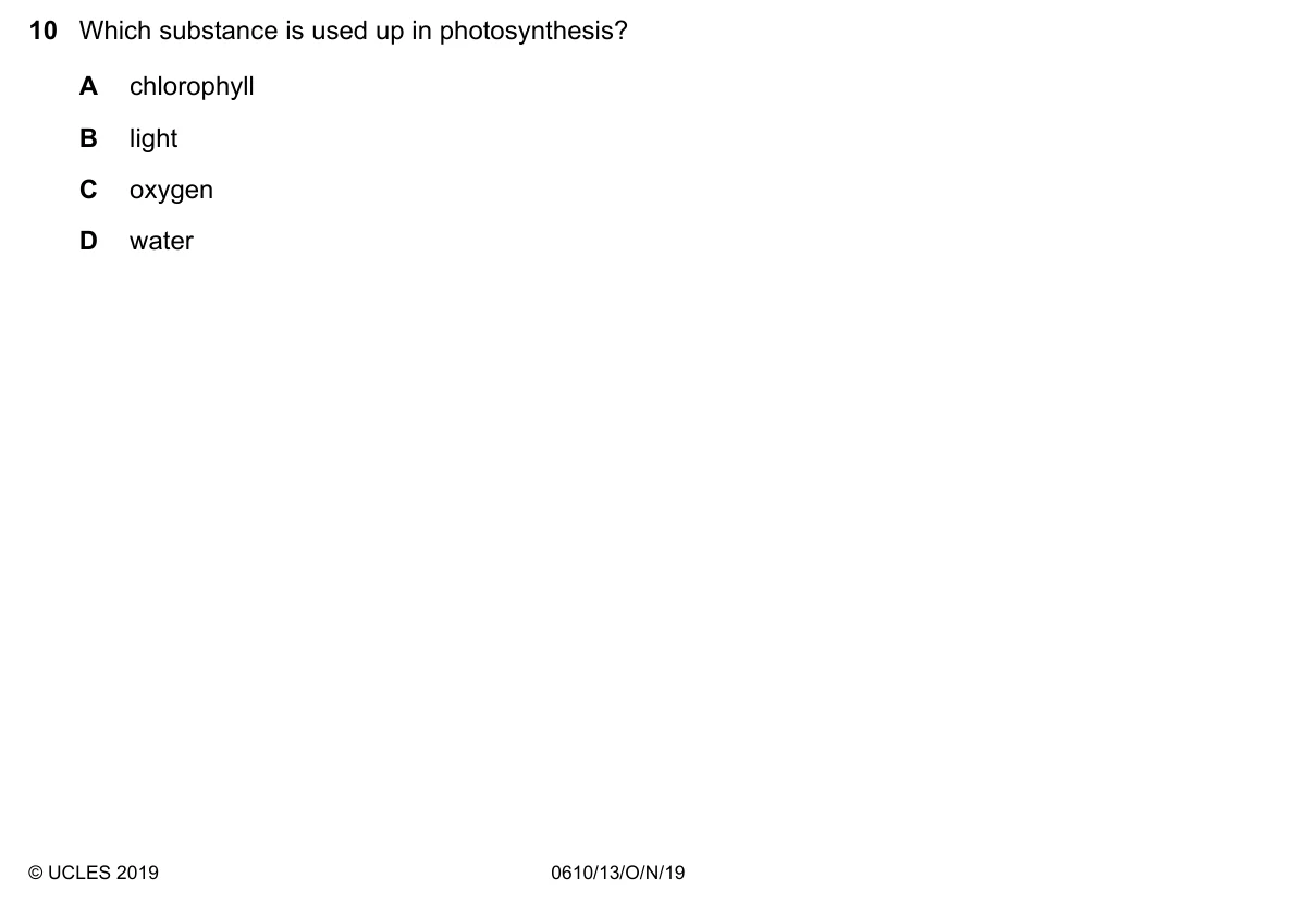 Question 10, November 2019, 0610 Paper 13