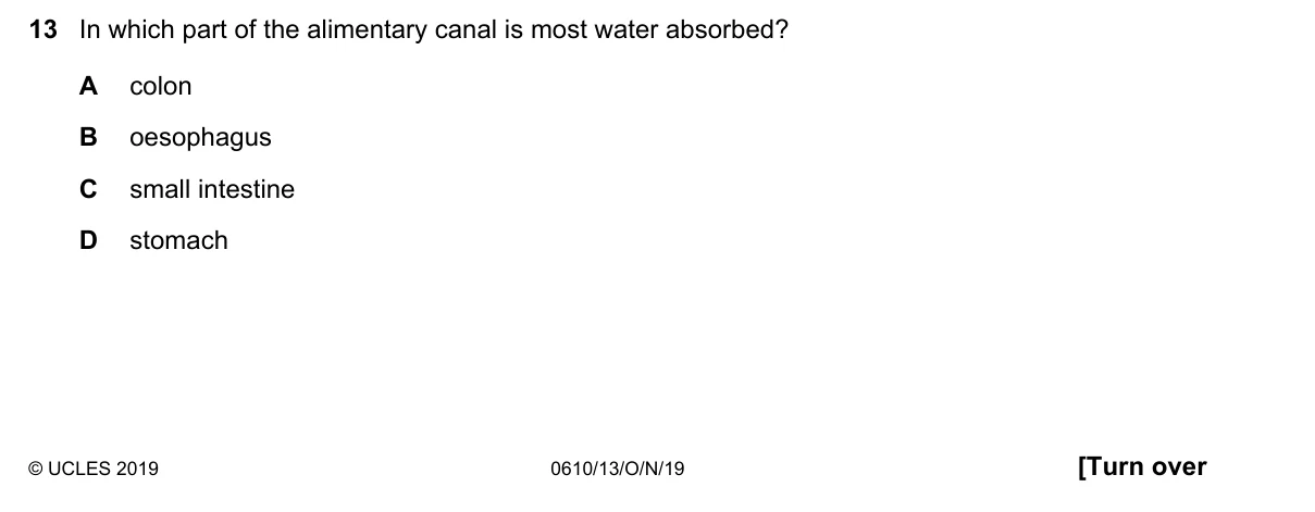 Question 13, November 2019, 0610 Paper 13
