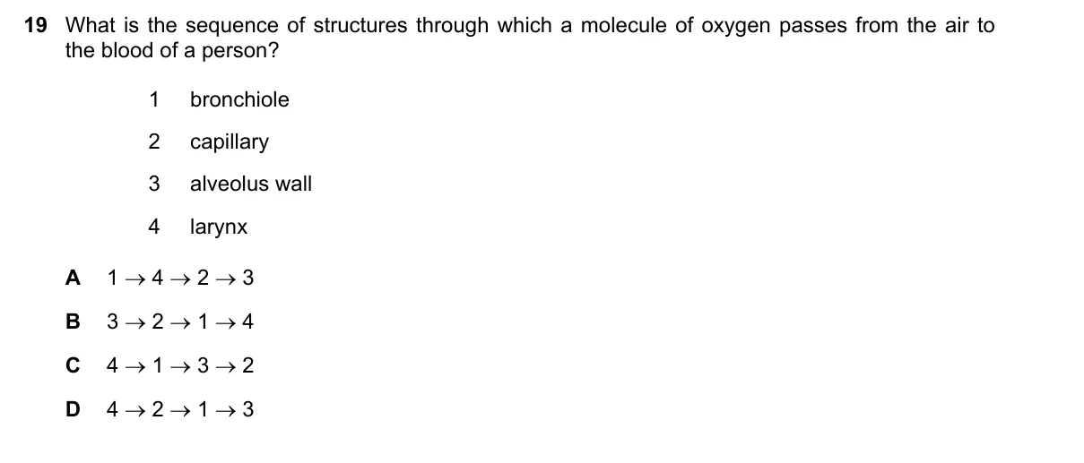 Question 19, November 2019, 0610 Paper 13