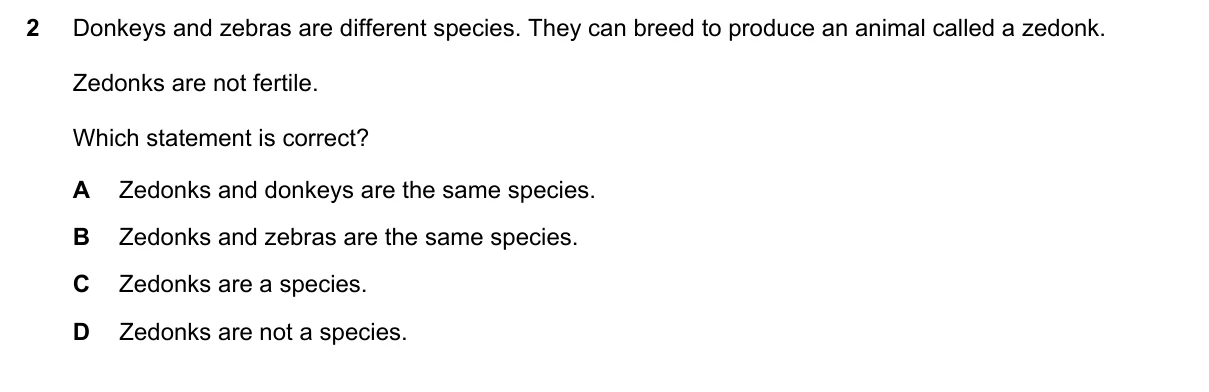 Question 2, November 2019, 0610 Paper 13