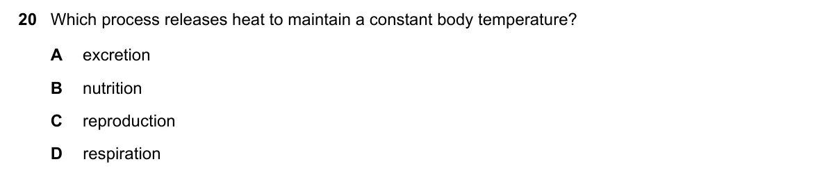 Question 20, November 2019, 0610 Paper 13