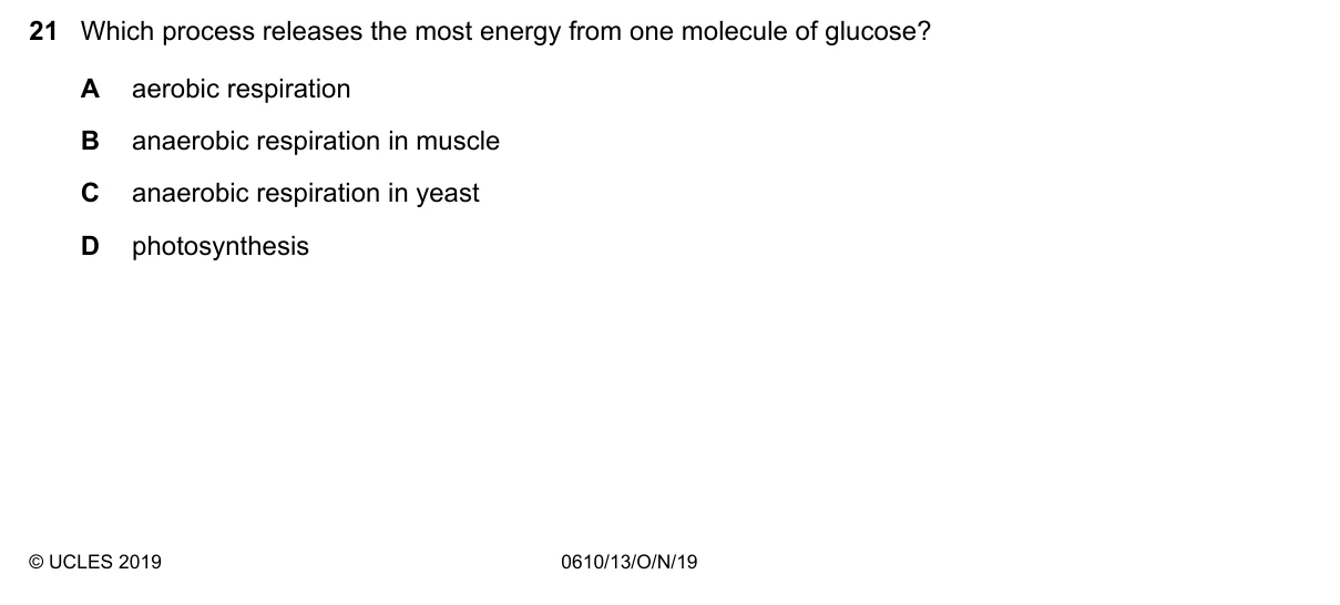 Question 21, November 2019, 0610 Paper 13