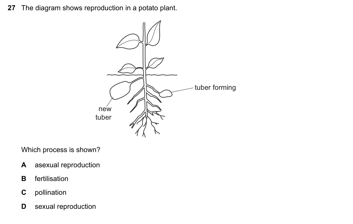 Question 27, November 2019, 0610 Paper 13