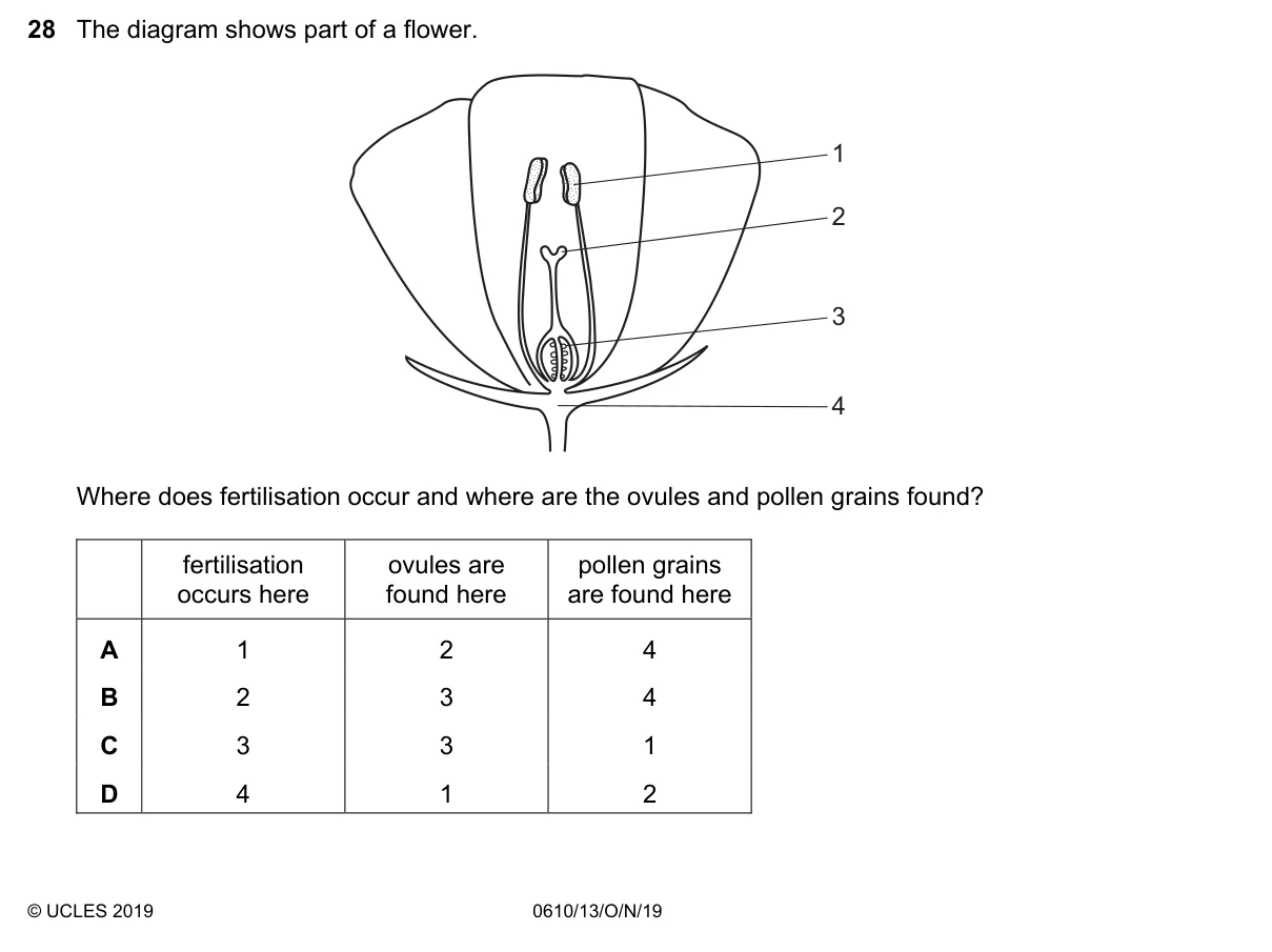 Question 28, November 2019, 0610 Paper 13
