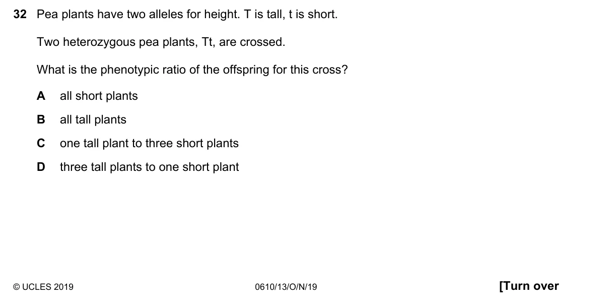 Question 32, November 2019, 0610 Paper 13