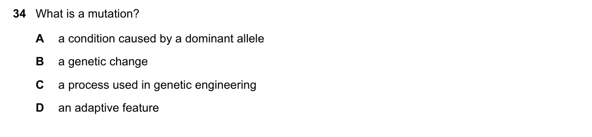 Question 34, November 2019, 0610 Paper 13