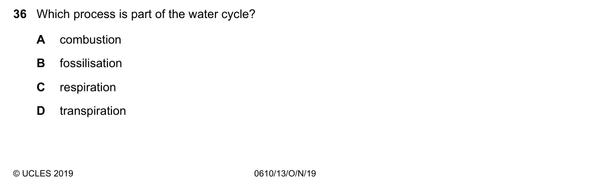 Question 36, November 2019, 0610 Paper 13