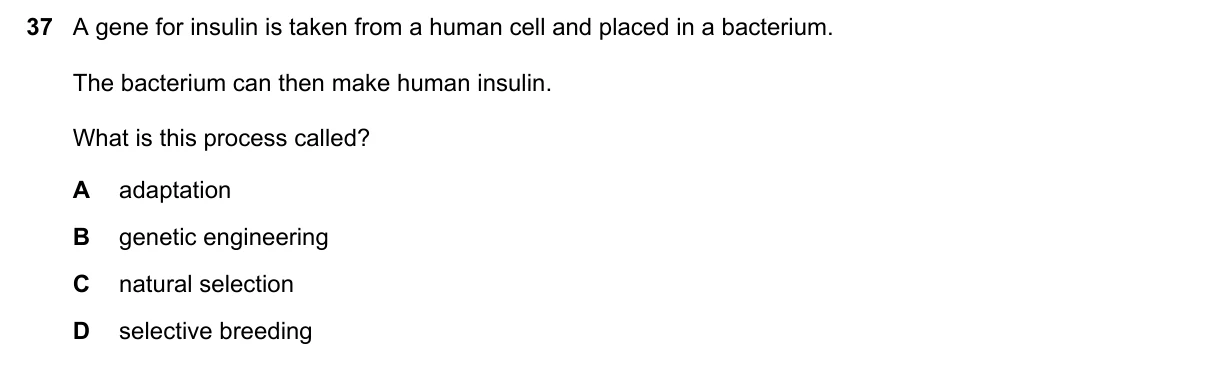 Question 37, November 2019, 0610 Paper 13