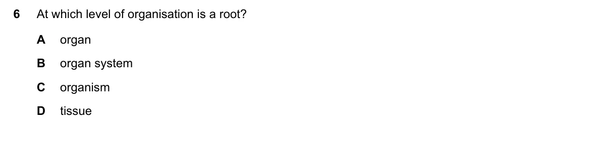 Question 6, November 2019, 0610 Paper 13
