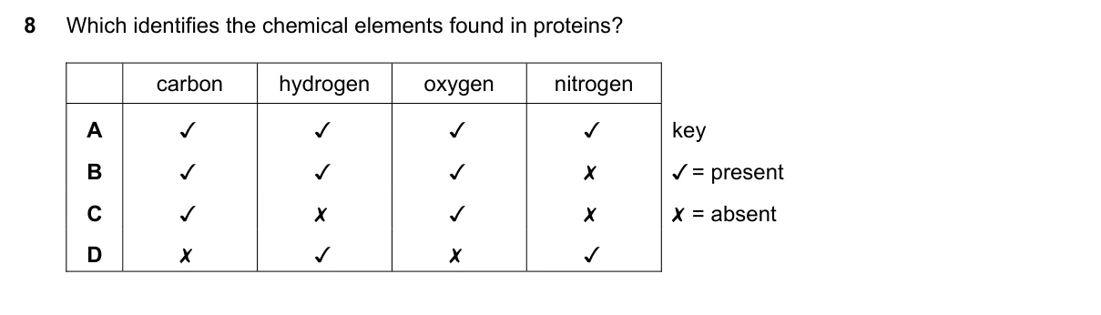 Question 8, November 2019, 0610 Paper 13