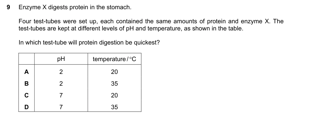 Question 9, November 2019, 0610 Paper 13