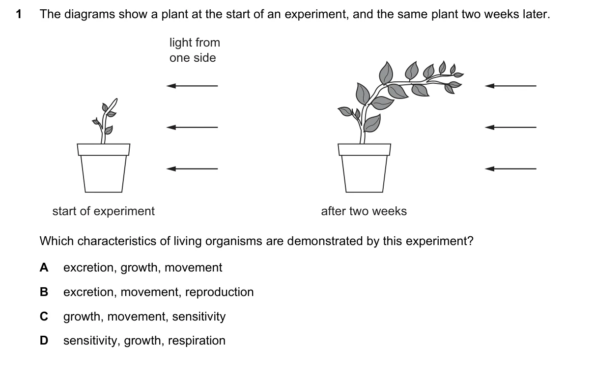Question 1, November 2019, 0610 Paper 23