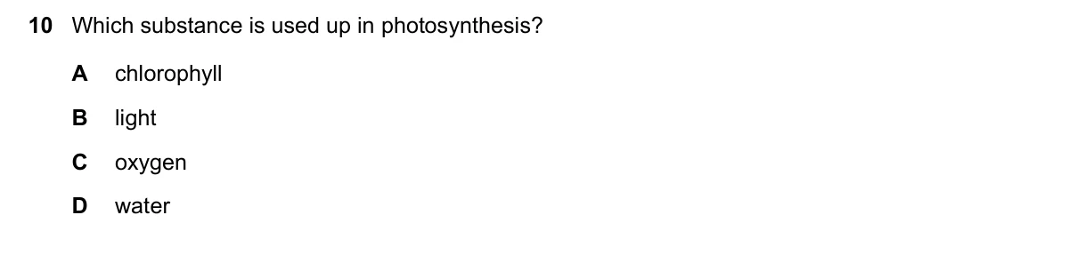 Question 10, November 2019, 0610 Paper 23
