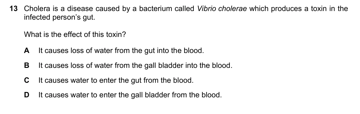Question 13, November 2019, 0610 Paper 23