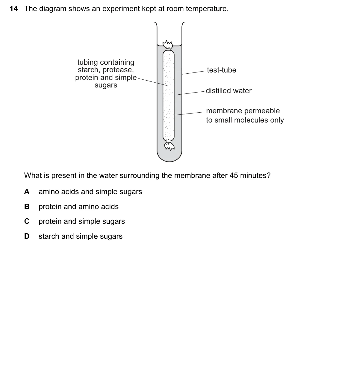 Question 14, November 2019, 0610 Paper 23
