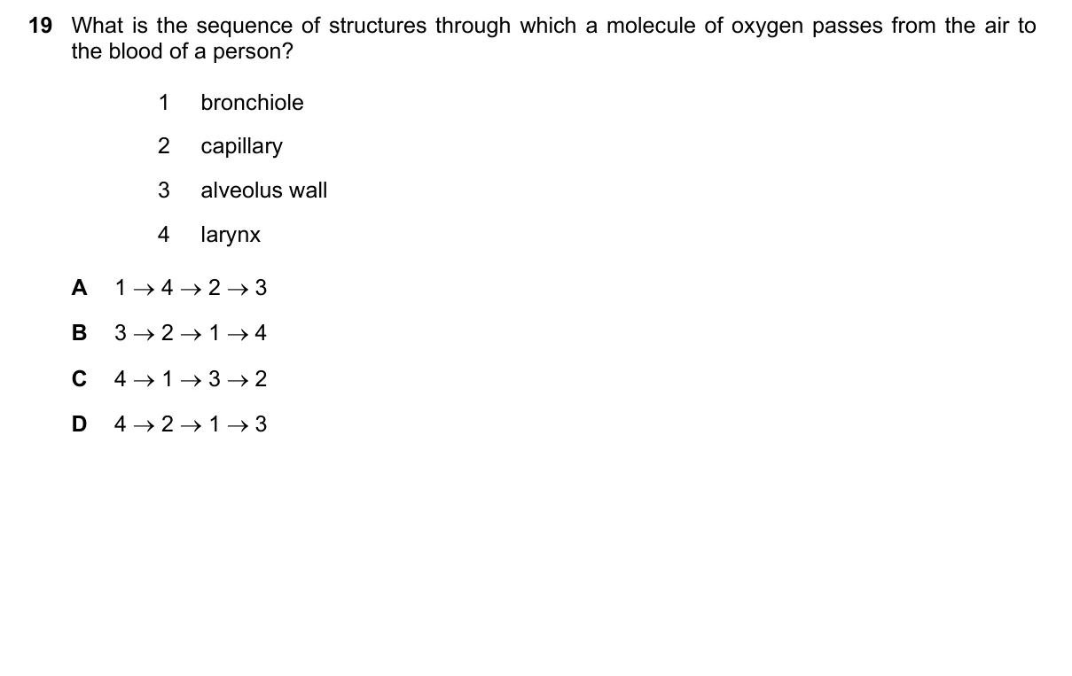 Question 19, November 2019, 0610 Paper 23