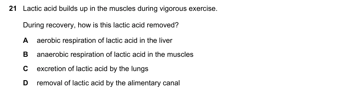 Question 21, November 2019, 0610 Paper 23