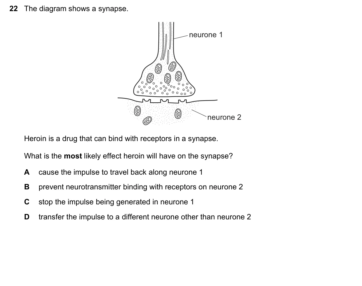 Question 22, November 2019, 0610 Paper 23
