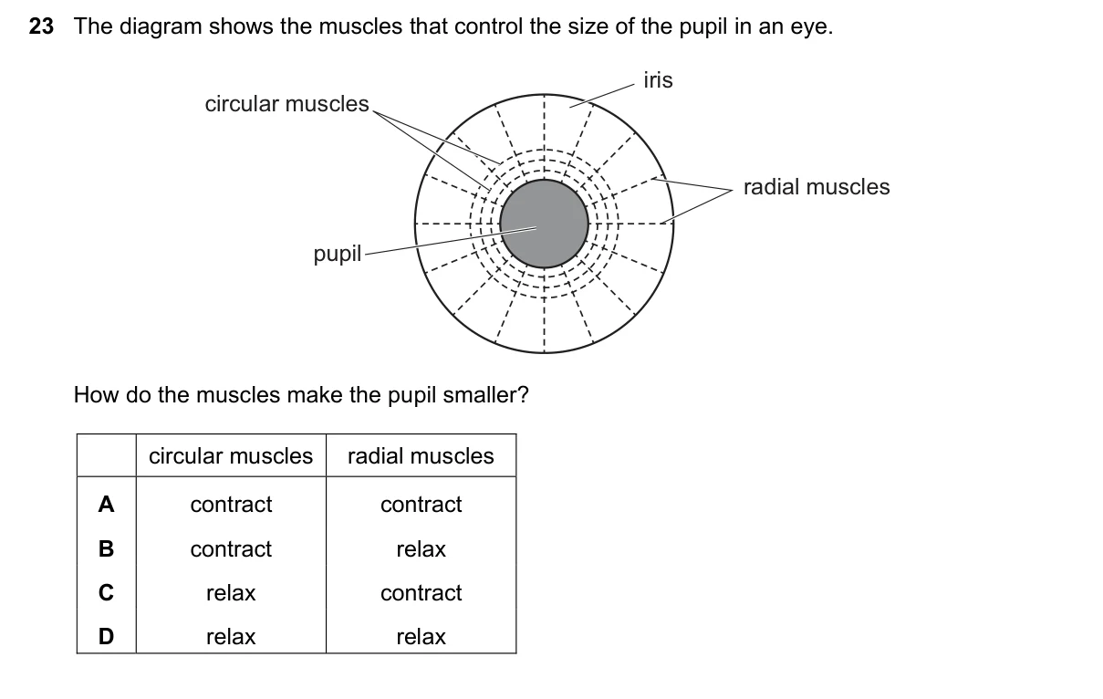 Question 23, November 2019, 0610 Paper 23