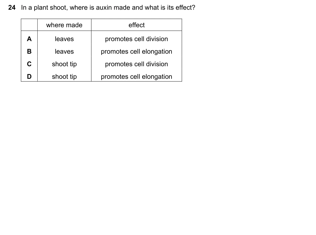 Question 24, November 2019, 0610 Paper 23