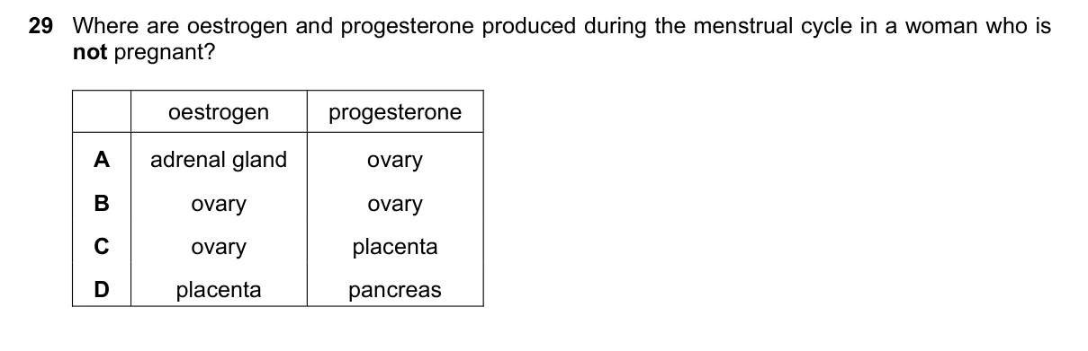 Question 29, November 2019, 0610 Paper 23