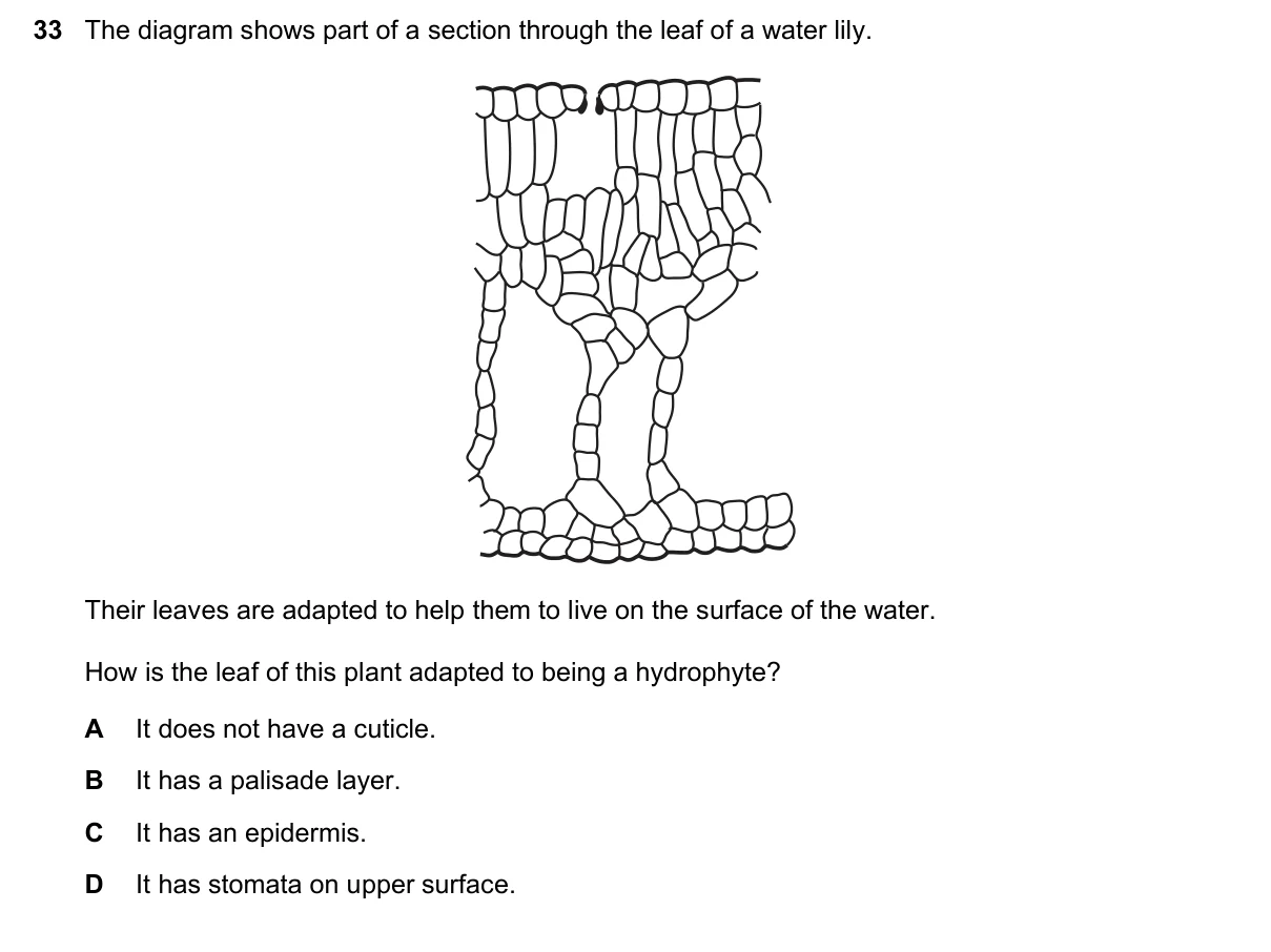 Question 33, November 2019, 0610 Paper 23