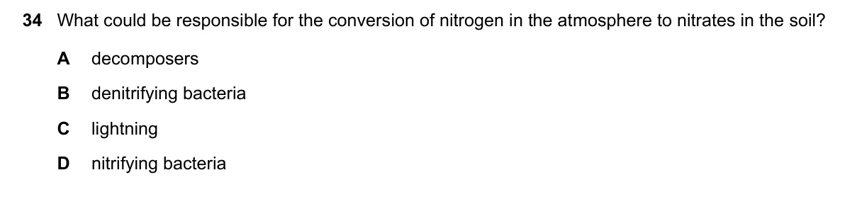 Question 34, November 2019, 0610 Paper 23