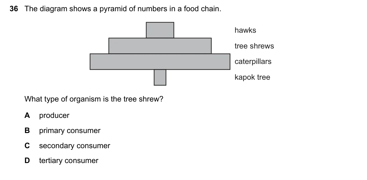 Question 36, November 2019, 0610 Paper 23