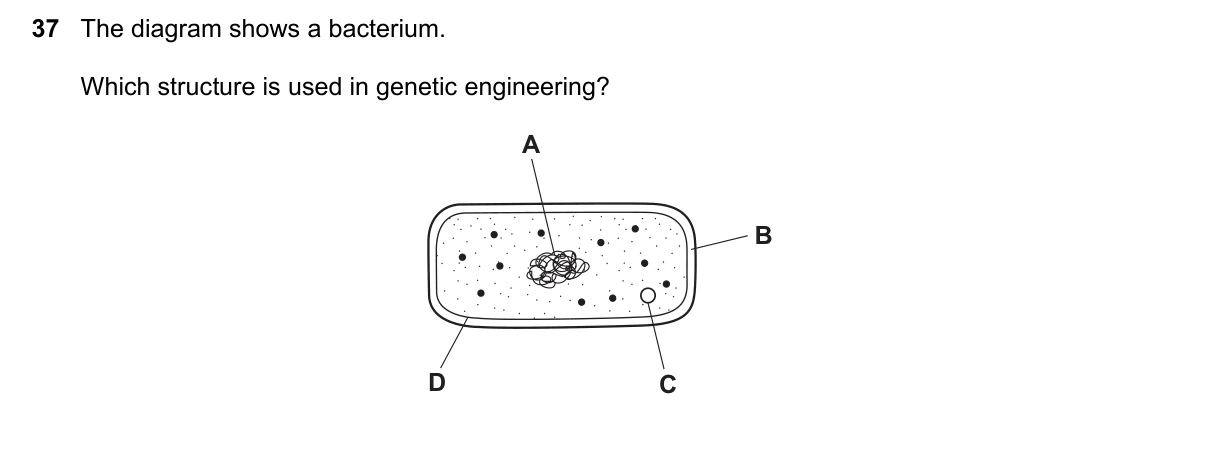 Question 37, November 2019, 0610 Paper 23