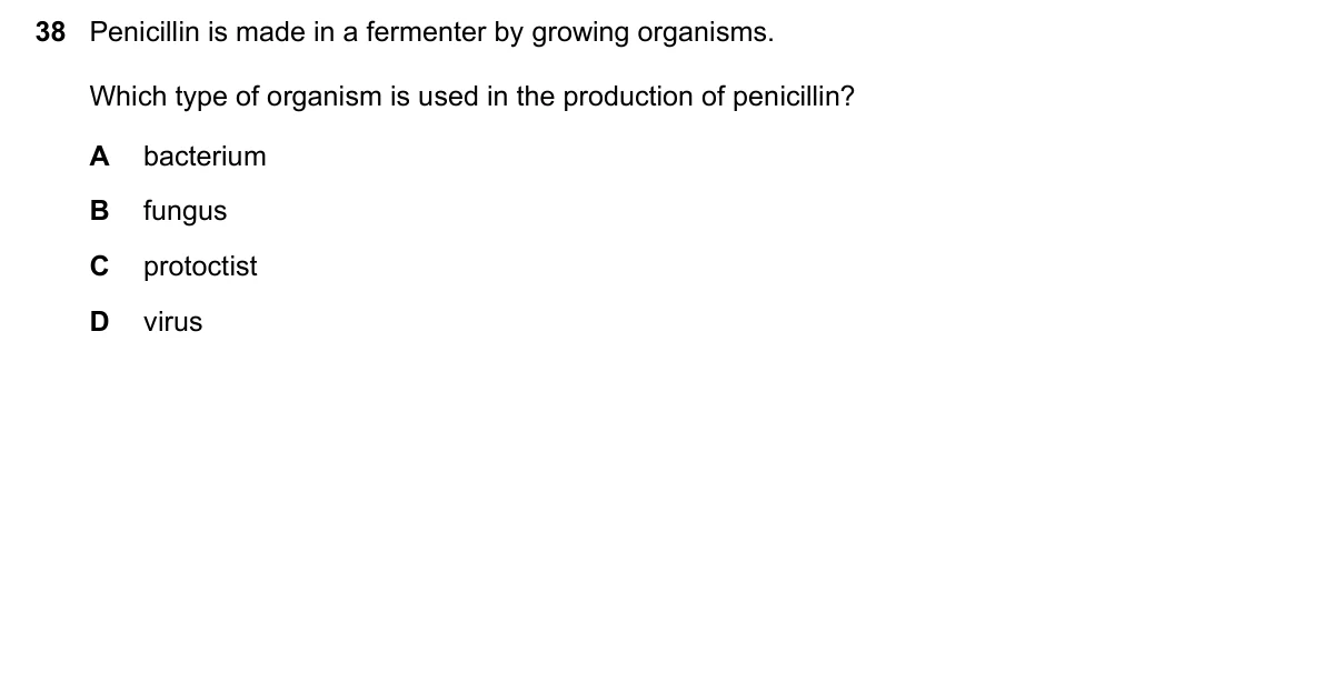 Question 38, November 2019, 0610 Paper 23
