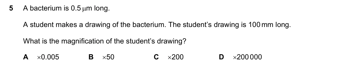 Question 5, November 2019, 0610 Paper 23