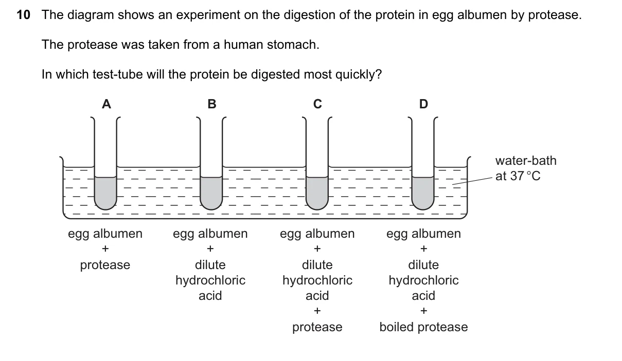 Question 10, March 2020, 0610 Paper 12