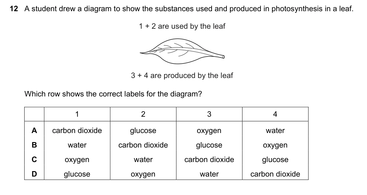 Question 12, March 2020, 0610 Paper 12