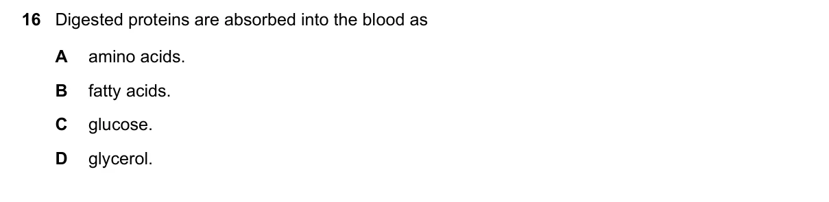 Question 16, March 2020, 0610 Paper 12