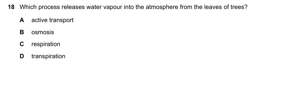 Question 18, March 2020, 0610 Paper 12