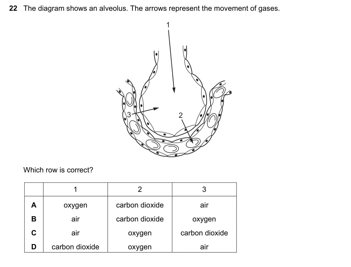 Question 22, March 2020, 0610 Paper 12