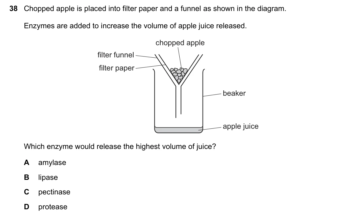 Question 38, March 2020, 0610 Paper 12