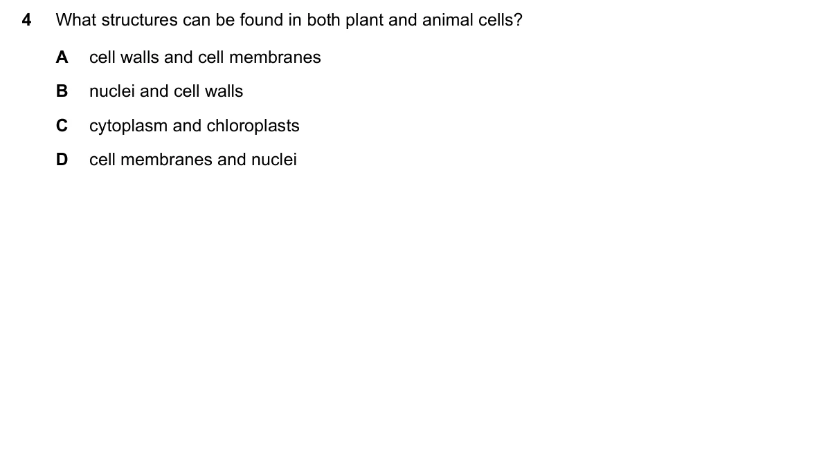 Question 4, March 2020, 0610 Paper 12