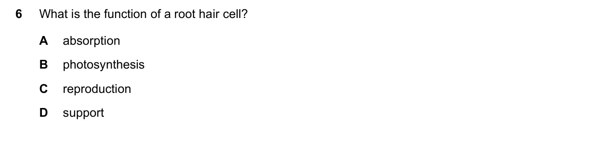 Question 6, March 2020, 0610 Paper 12