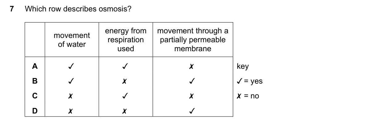 Question 7, March 2020, 0610 Paper 12
