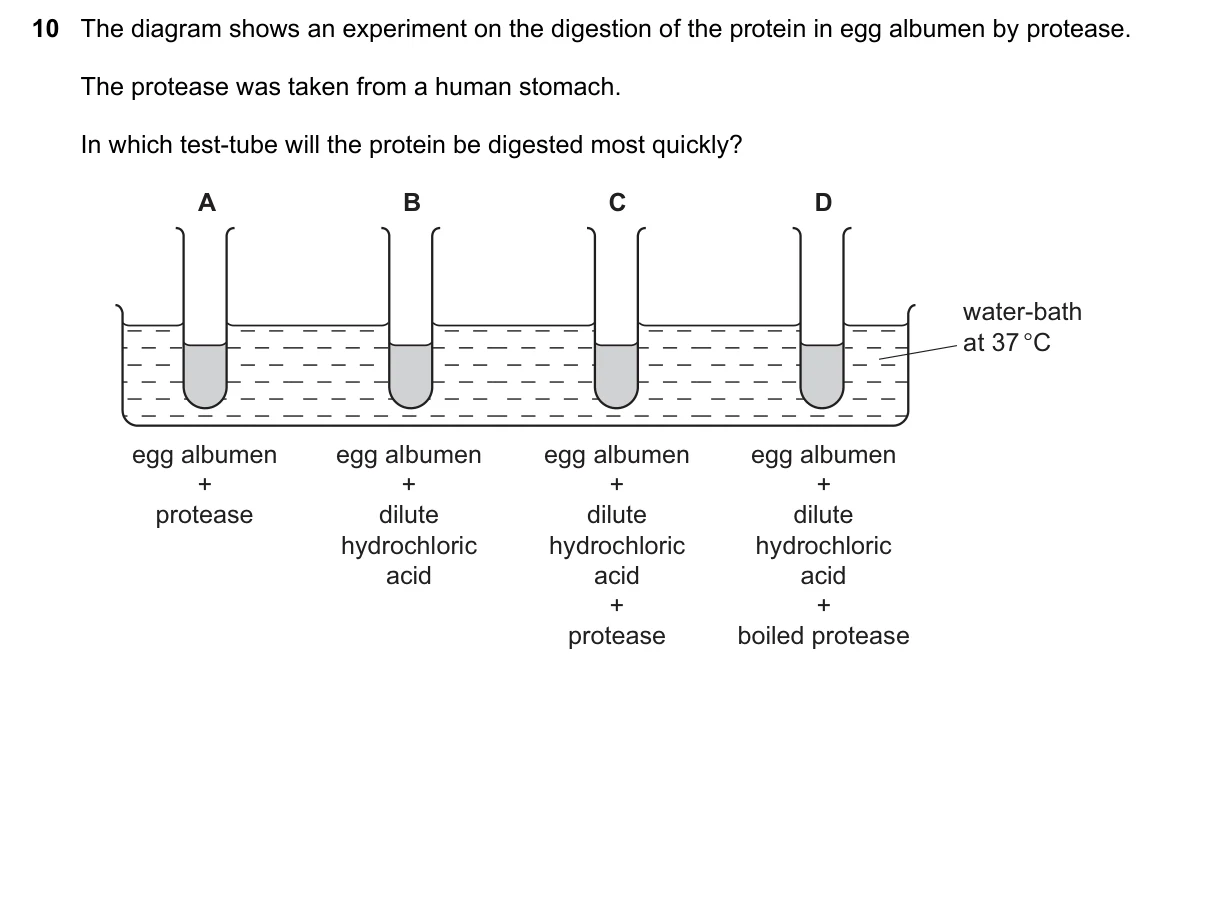 Question 10, March 2020, 0610 Paper 22