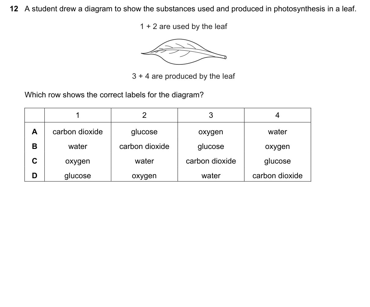 Question 12, March 2020, 0610 Paper 22