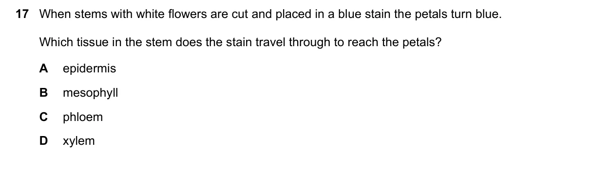 Question 17, March 2020, 0610 Paper 22