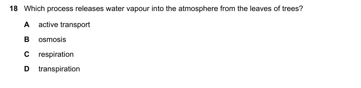 Question 18, March 2020, 0610 Paper 22