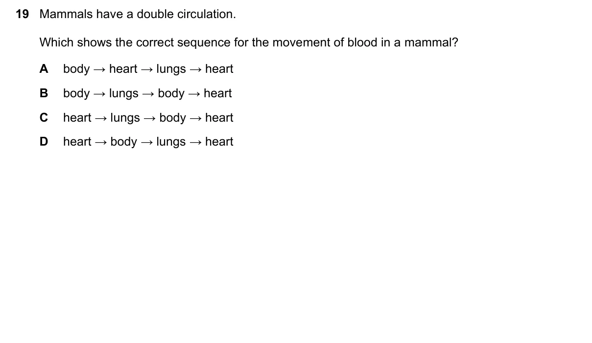 Question 19, March 2020, 0610 Paper 22