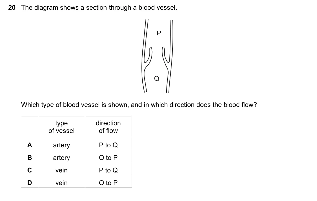 Question 20, March 2020, 0610 Paper 22