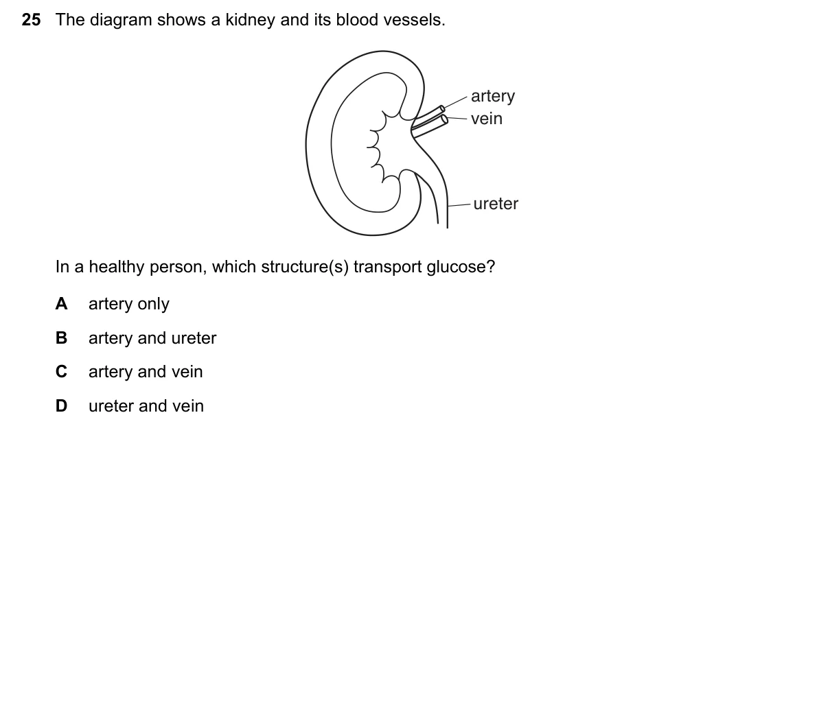 Question 25, March 2020, 0610 Paper 22